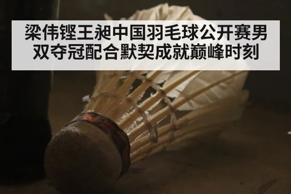 梁伟铿王昶中国羽毛球公开赛男双夺冠配合默契成就巅峰时刻 - kaiyun