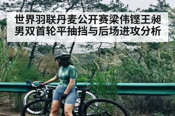 世界羽联丹麦公开赛梁伟铿王昶男双首轮平抽挡与后场进攻分析 - kaiyun